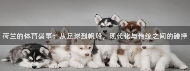 杏悦2体育凯捷平台主管