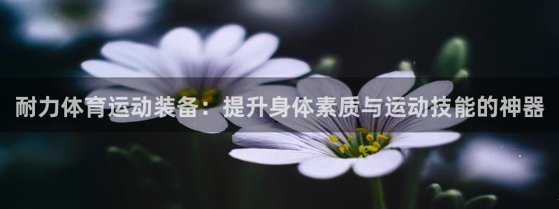 杏悦2注册登录