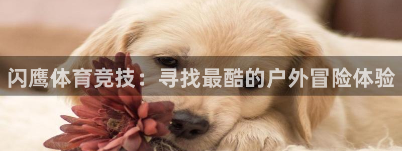 杏悦2集团官网