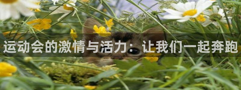 杏悦2包怎么样
