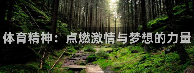 杏悦23官网登录