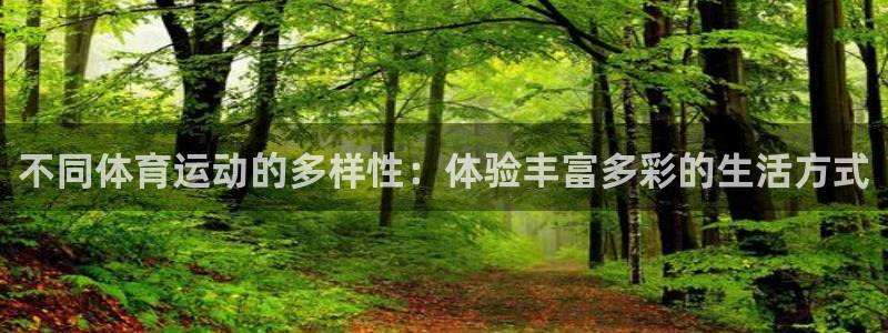 杏悦24注册