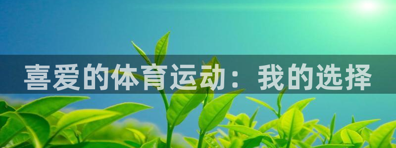 杏悦22平台登录