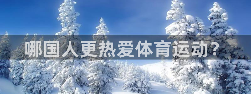 杏悦2体育代理申请流程
