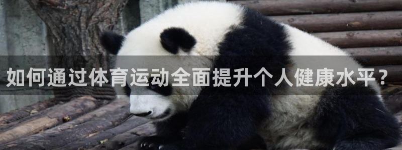 杏悦2凯捷平台注册链接