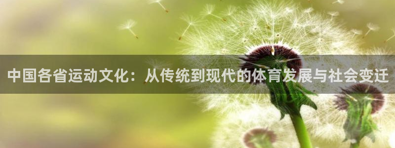 杏悦23登录