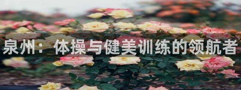 杏悦23官网登录