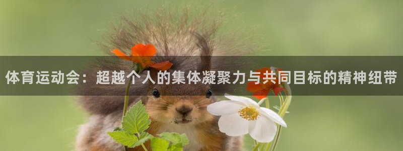 杏悦25注册