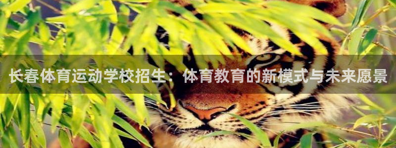 杏悦2平台主管