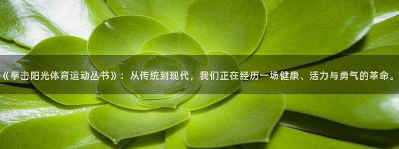 杏悦23代理