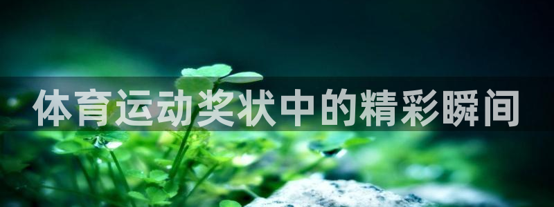 杏悦24注册