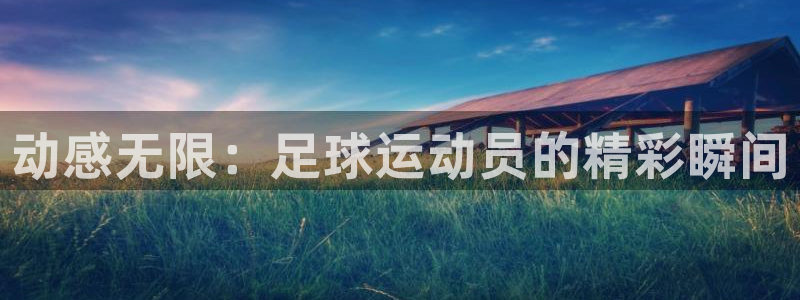 杏悦2平台登录
