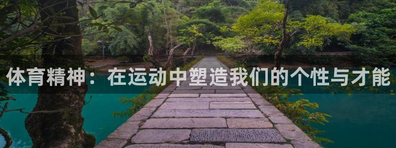 杏悦2主管球27337