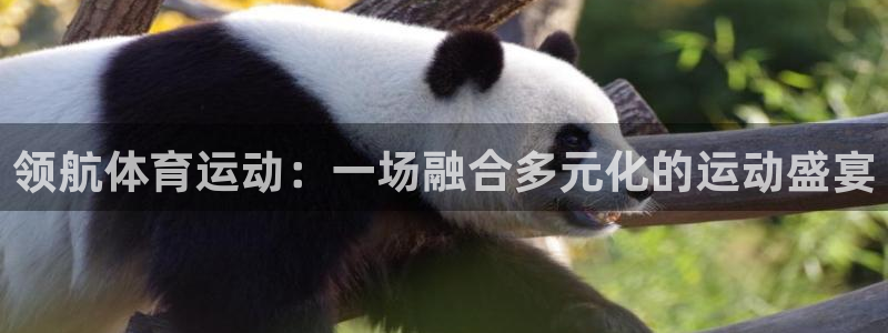 杏悦24平台注册