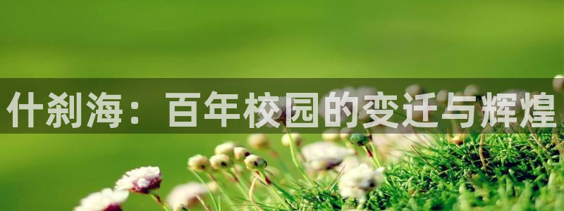 杏悦2零能源集团