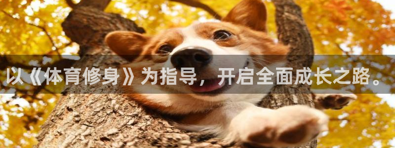 www.杏悦2体育.com