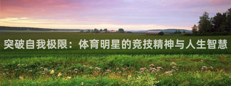杏悦23官网登录